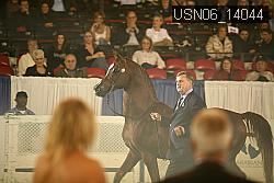 USN06_14044 thumbnail