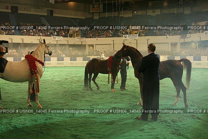 Proof Number USN06_14045