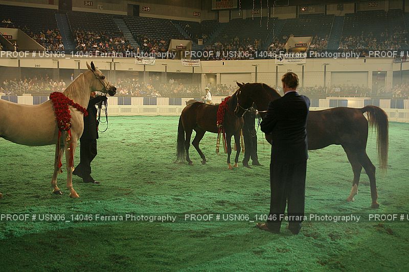 Proof Number USN06_14046