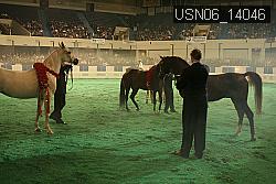 USN06_14046 thumbnail