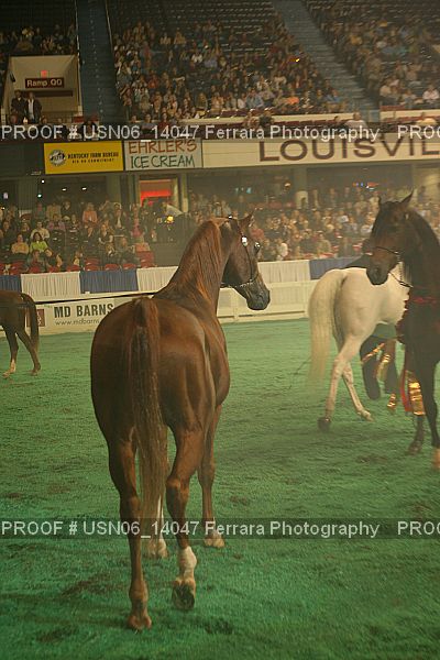Proof Number USN06_14047
