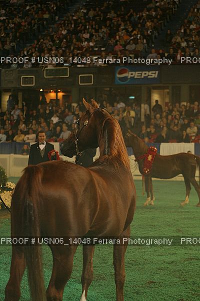 Proof Number USN06_14048