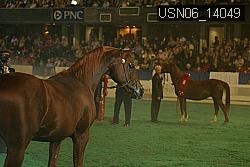 USN06_14049 thumbnail