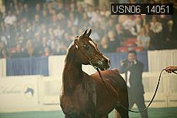 USN06_14051 thumbnail