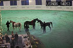 USN06_14053 thumbnail