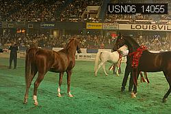 USN06_14055 thumbnail