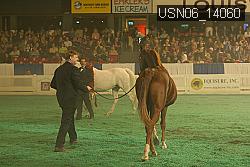 USN06_14060 thumbnail