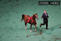USN06_14065 thumbnail