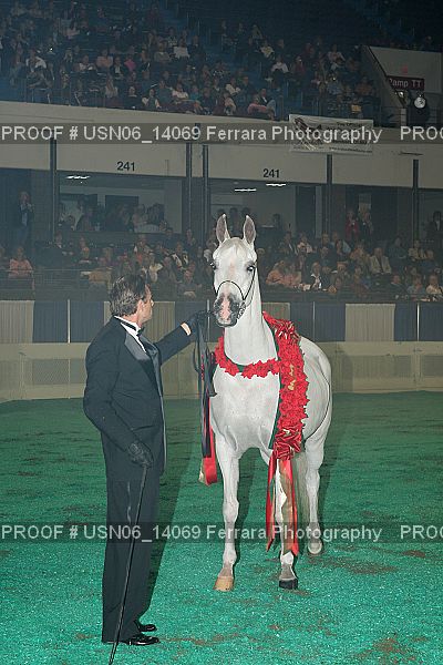 Proof Number USN06_14069