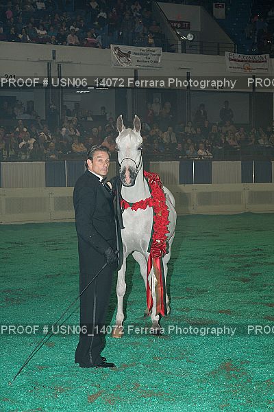 Proof Number USN06_14072