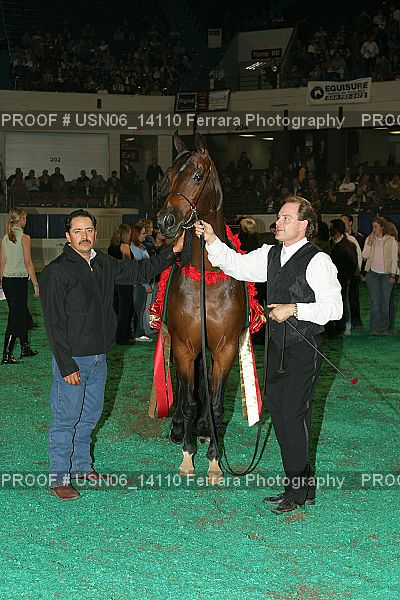 Proof Number USN06_14110