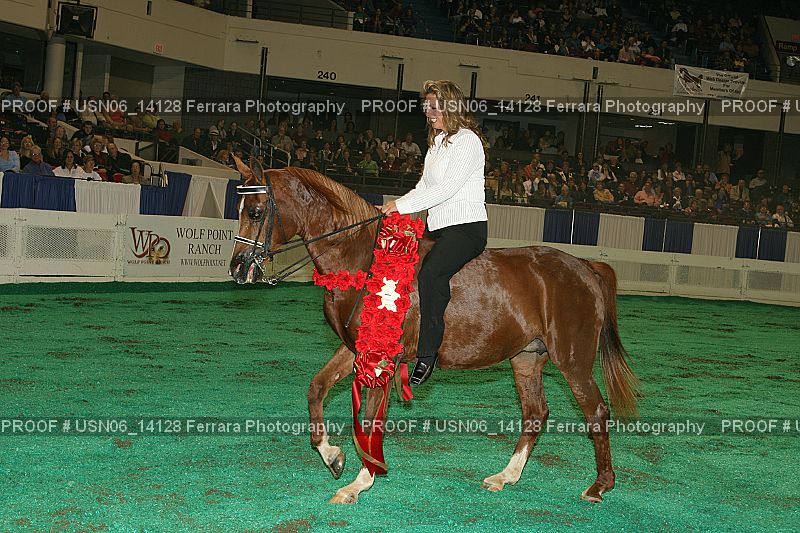 Proof Number USN06_14128