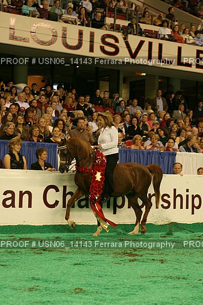 Proof Number USN06_14143