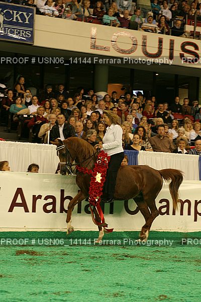 Proof Number USN06_14144