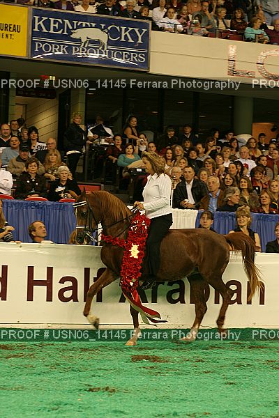 Proof Number USN06_14145