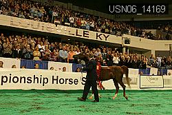USN06_14169 thumbnail