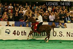 USN06_14186 thumbnail