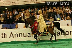 USN06_14204 thumbnail