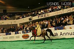 USN06_14208 thumbnail