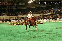 USN06_14252 thumbnail