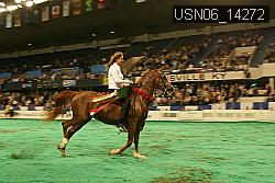 USN06_14272 thumbnail
