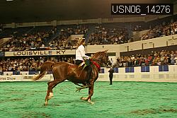 USN06_14276 thumbnail