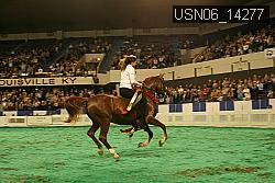 USN06_14277 thumbnail