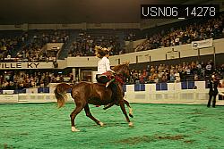 USN06_14278 thumbnail