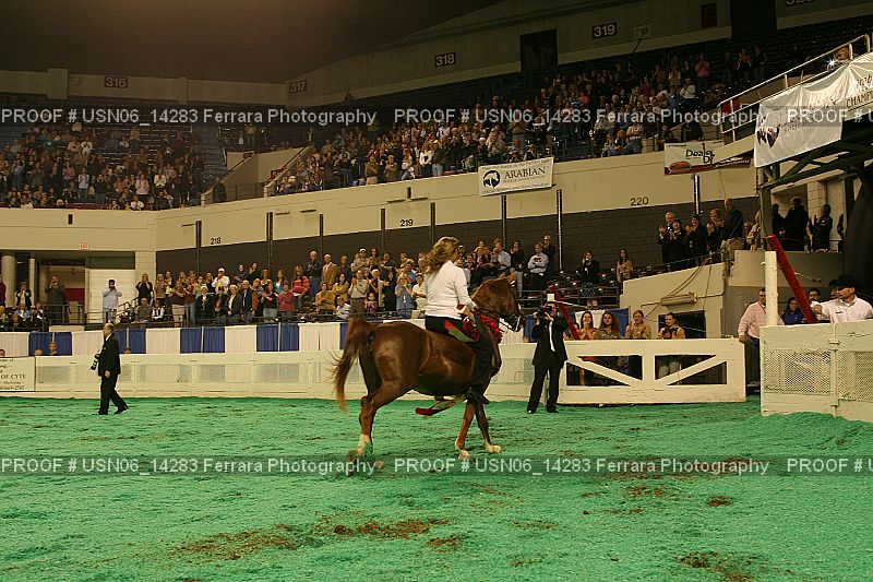 Proof Number USN06_14283