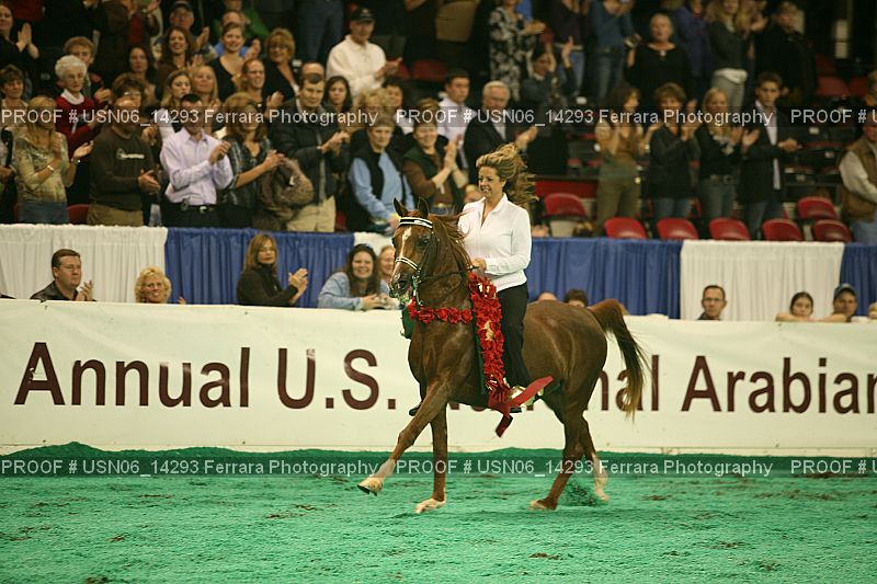 Proof Number USN06_14293
