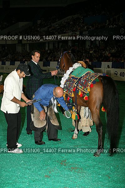 Proof Number USN06_14407