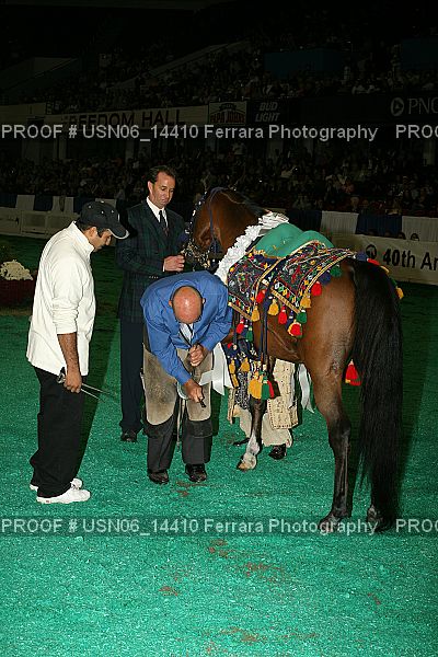 Proof Number USN06_14410