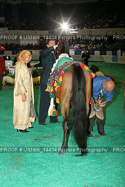 Proof Number USN06_14434