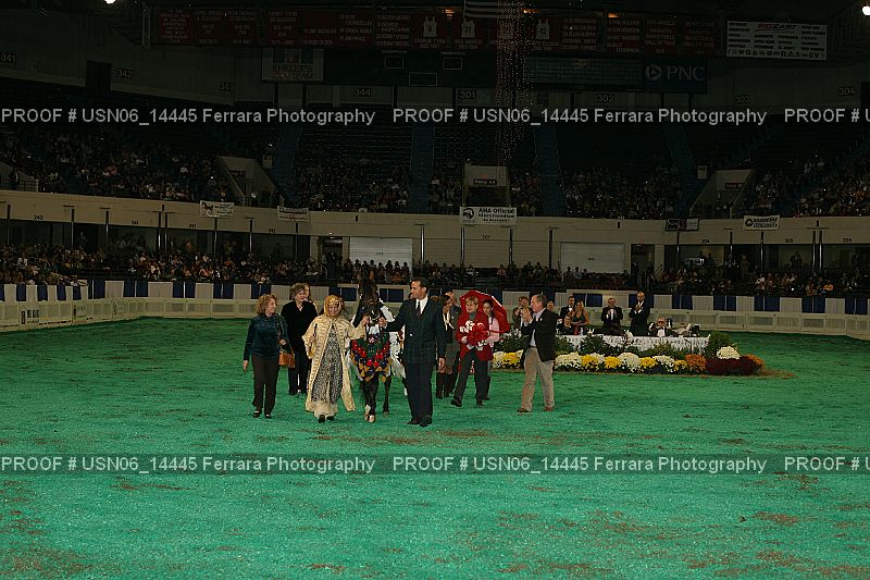 Proof Number USN06_14445