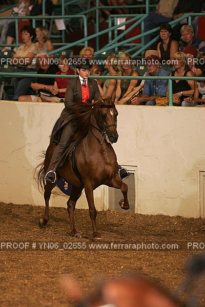 Proof Number YN06_02655