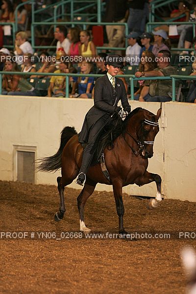 Proof Number YN06_02668