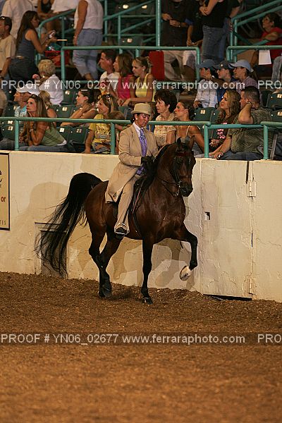 Proof Number YN06_02677