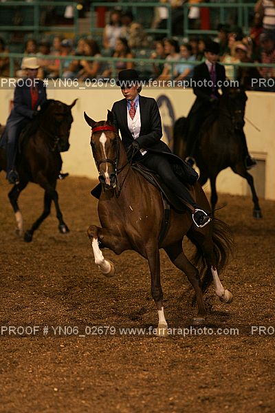Proof Number YN06_02679
