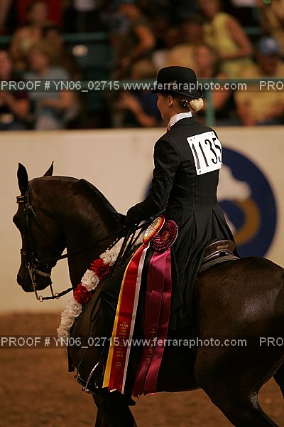 Proof Number YN06_02715