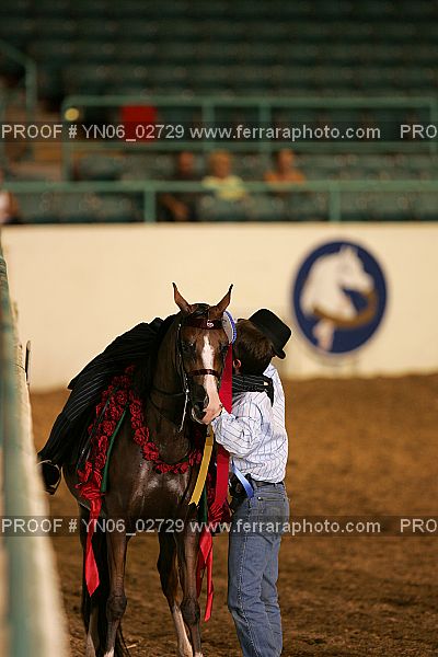 Proof Number YN06_02729