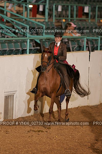 Proof Number YN06_02733