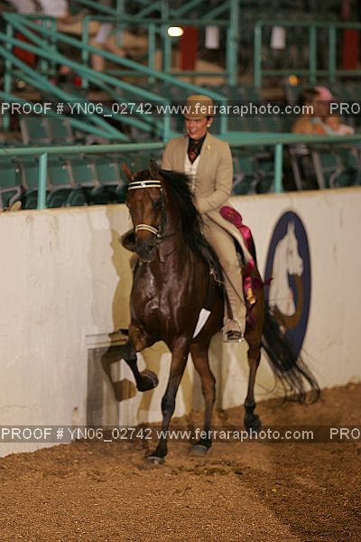 Proof Number YN06_02742