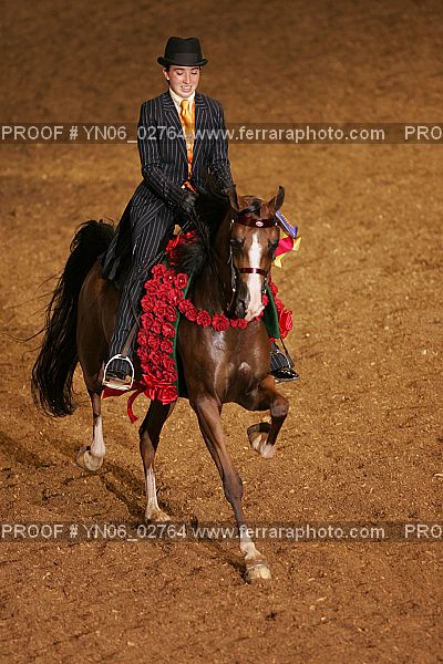 Proof Number YN06_02764