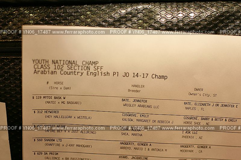 Proof Number YN06_17487