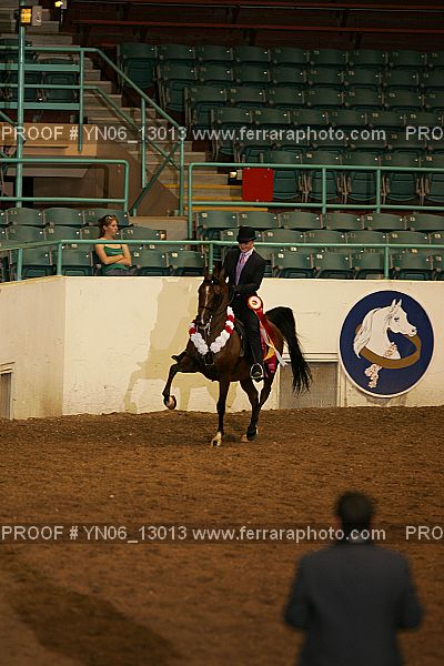Proof Number YN06_13013