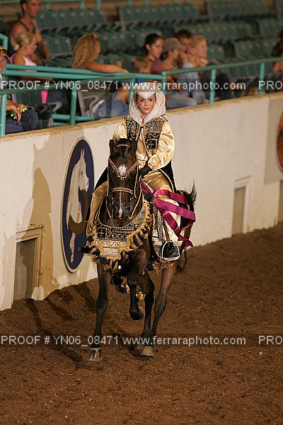 Proof Number YN06_08471