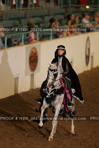 Proof Number YN06_08476