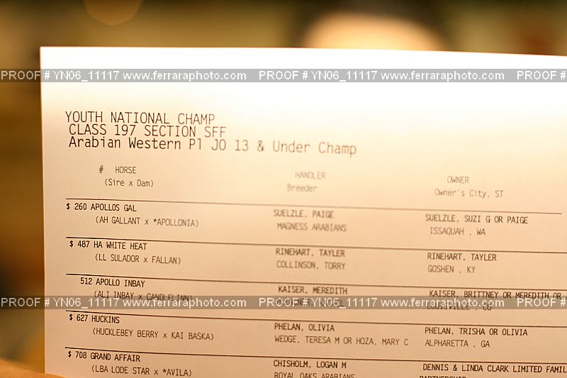 Proof Number YN06_11117