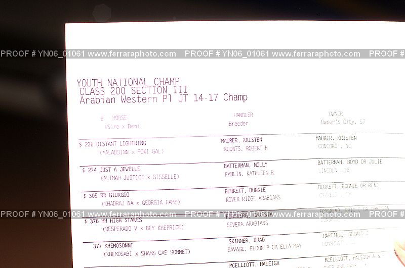 Proof Number YN06_01061