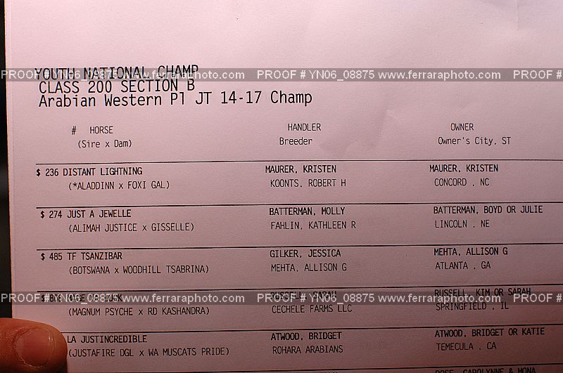 Proof Number YN06_08875